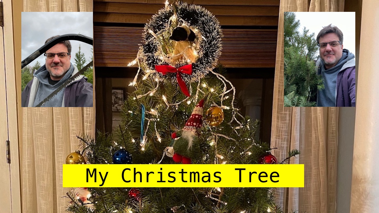 My Christmas Tree; Christmas trees; learn English